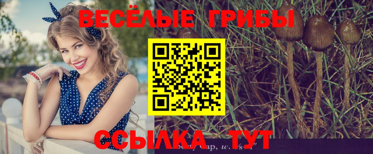 Меф  Вход с VPN  Гашиш  Конопля  Cocaine  Таганрог  МЕФ  